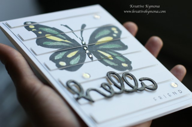 Jamaican Butterfly closeup