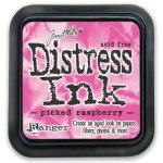 Picked Raspberry Ink