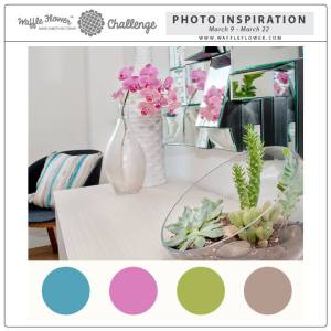 10978630_10205991015394847_5844698846496490195_n