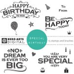 Hero Arts Special Birthday Digital