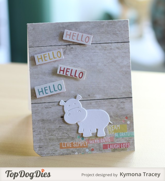 Hello Hello Hippo (TDD)