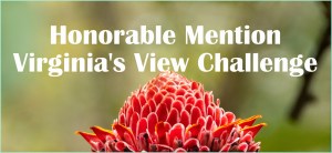 Viginia's Honorable Mention