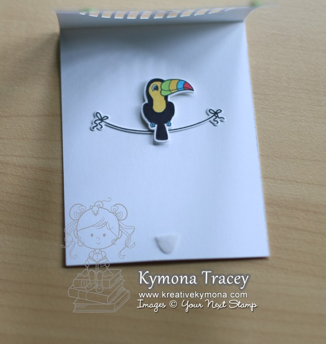 Hello inside 2 (YNS)