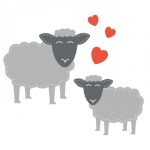 TDD Sheep