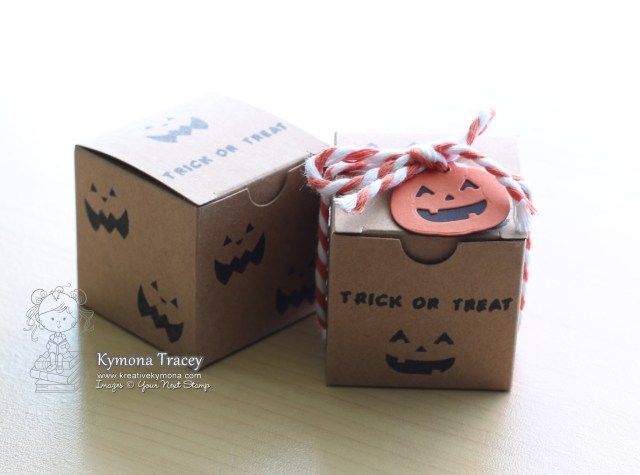 Halloween boxes (YNS)