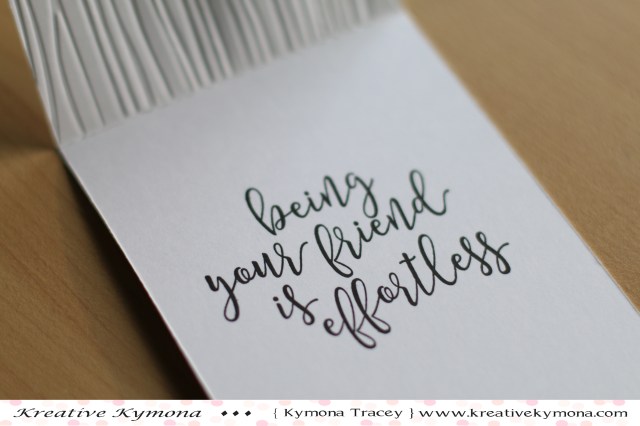 Toy birds inside (CAS)