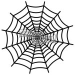 Ronda Palazzari Spiderweb