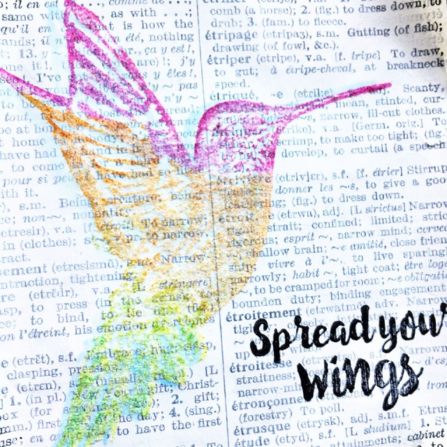 closeup-of-the-hummingbird