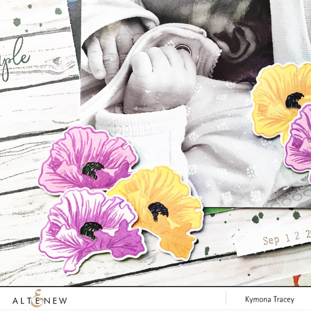 Poppy Field Stamp and Die Set