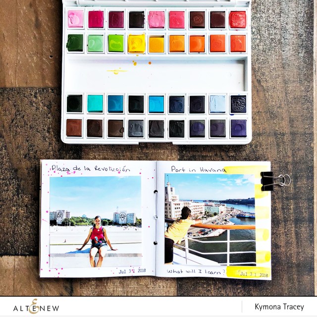 Altenew Watercolor Pan Set